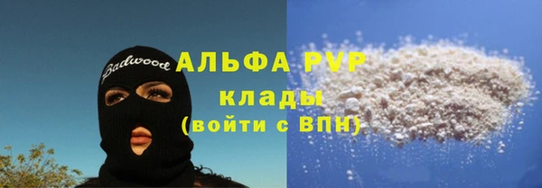 мяу мяу мука Абаза