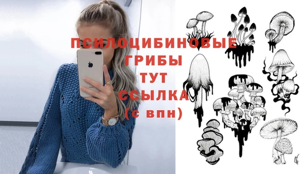 мяу мяу мука Абинск