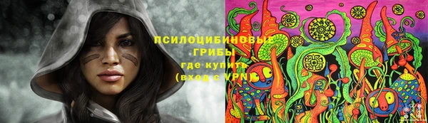 крисы Абдулино