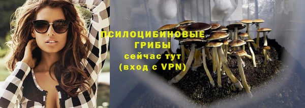 мяу мяу мука Абаза