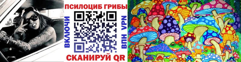 OMG зеркало Новоалександровск Псилоцибиновые грибы MAGIC MUSHROOMS
